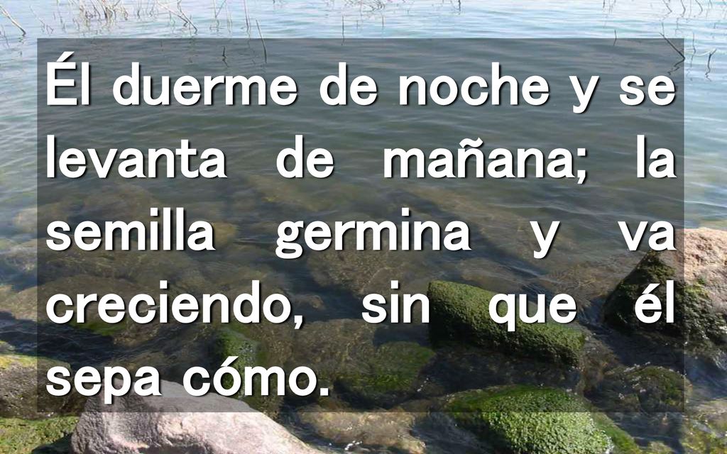 Él duerme de noche y se levanta de mañana; la semilla germina y va creciendo, sin que él sepa cómo.