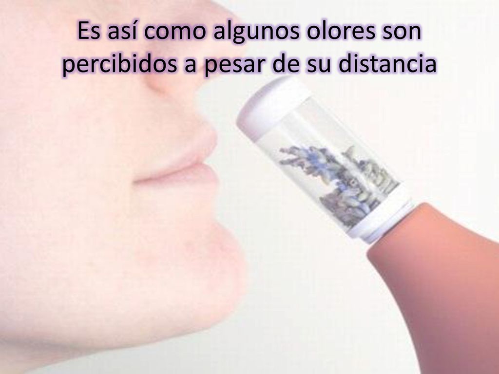 Es así como algunos olores son percibidos a pesar de su distancia