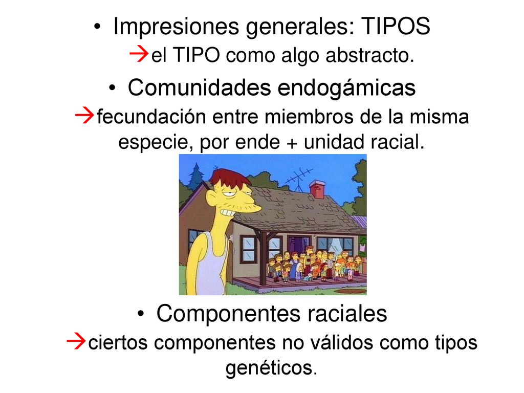 Impresiones generales: TIPOS el TIPO como algo abstracto.