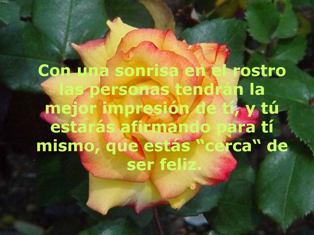 Con una sonrisa en el rostro las personas tendrán la mejor impresión de tí, y tú estarás afirmando para tí mismo, que estás cerca de