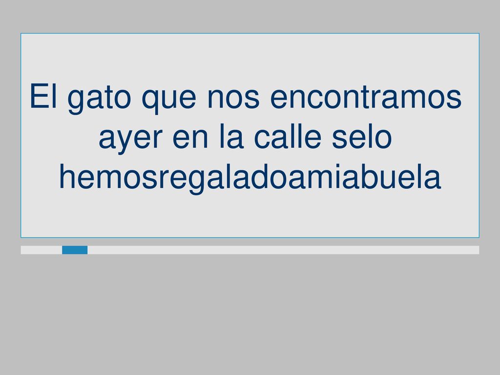 El gato que nos encontramos ayer en la calle selo