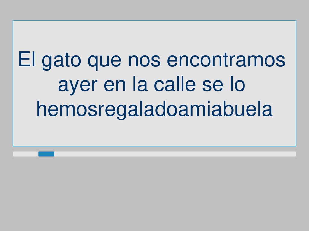 El gato que nos encontramos ayer en la calle se lo