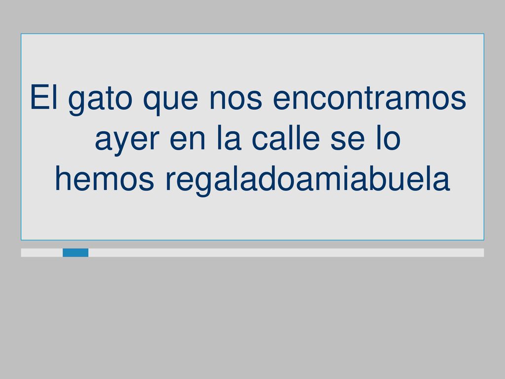 El gato que nos encontramos ayer en la calle se lo