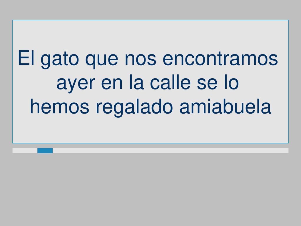 El gato que nos encontramos ayer en la calle se lo
