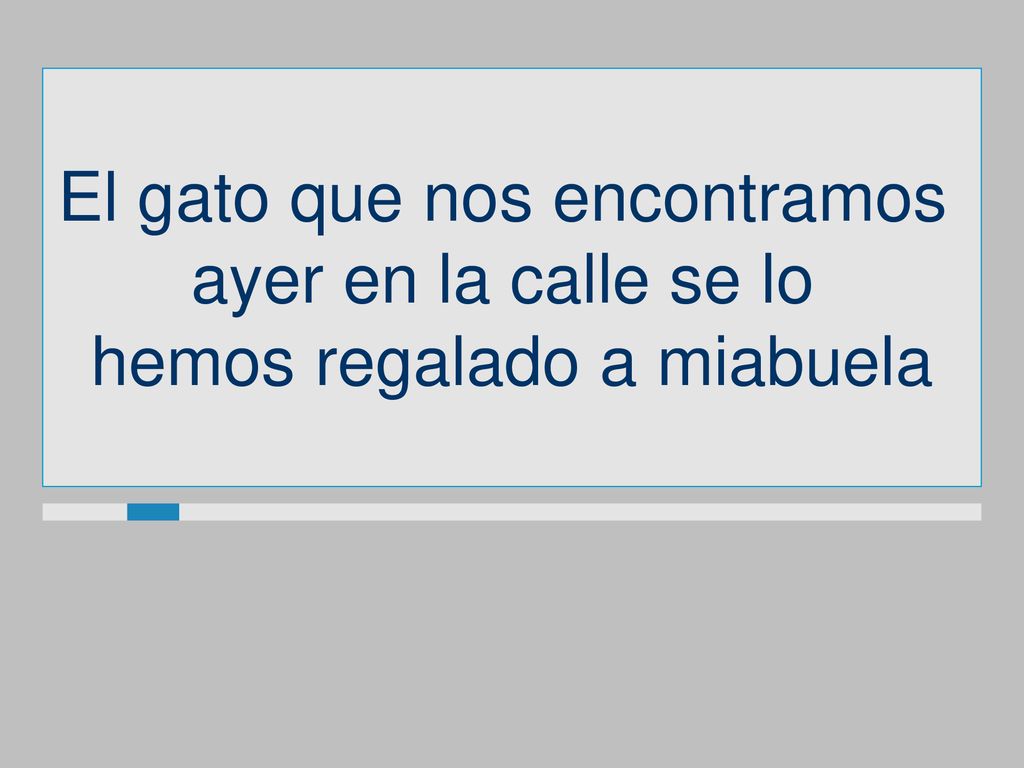 El gato que nos encontramos ayer en la calle se lo