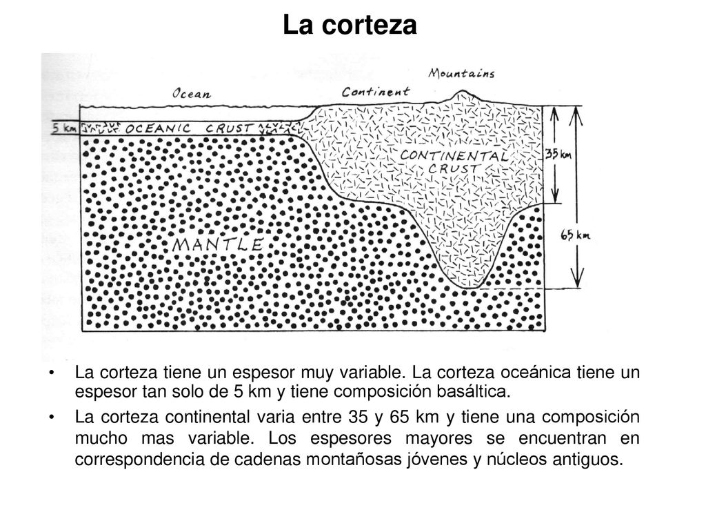 La corteza La corteza tiene un espesor muy variable. La corteza oceánica tiene un espesor tan solo de 5 km y tiene composición basáltica.
