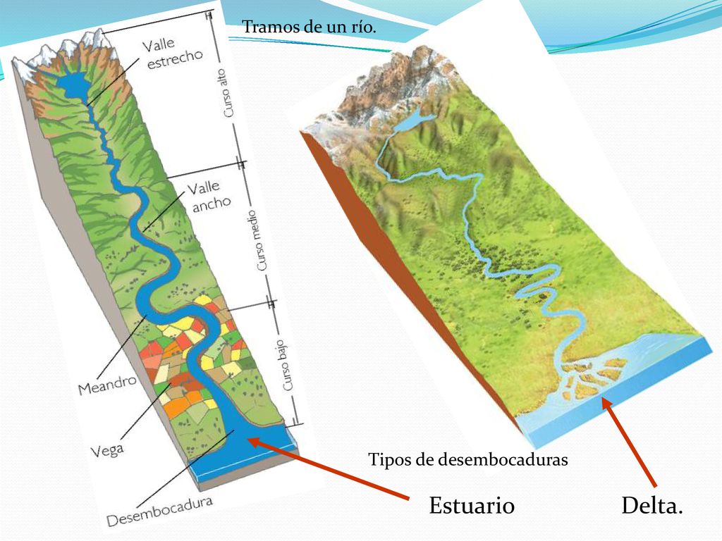 Tramos de un río. Tipos de desembocaduras Estuario Delta.