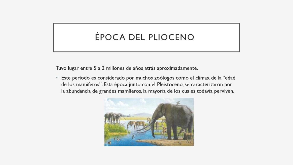 Época del plioceno Tuvo lugar entre 5 a 2 millones de años atrás aproximadamente.