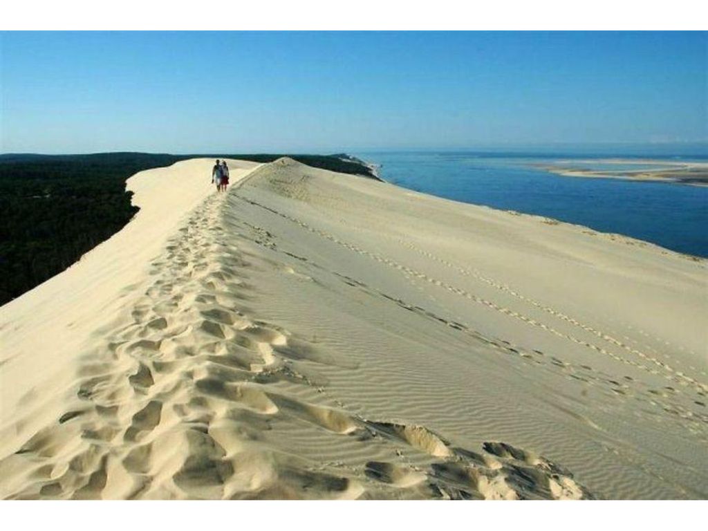 Duna litoral, playa Duna de Pyla (SO francés - Golfo de Vizcaya)