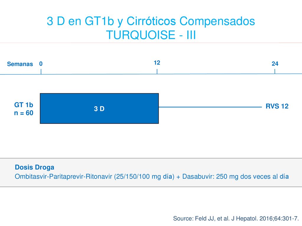 3 D en GT1b y Cirróticos Compensados TURQUOISE - III