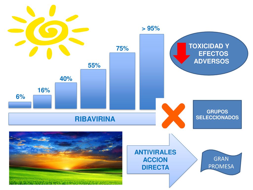 RIBAVIRINA > 95% TOXICIDAD Y EFECTOS 75% ADVERSOS 55% 40% 16% 6%
