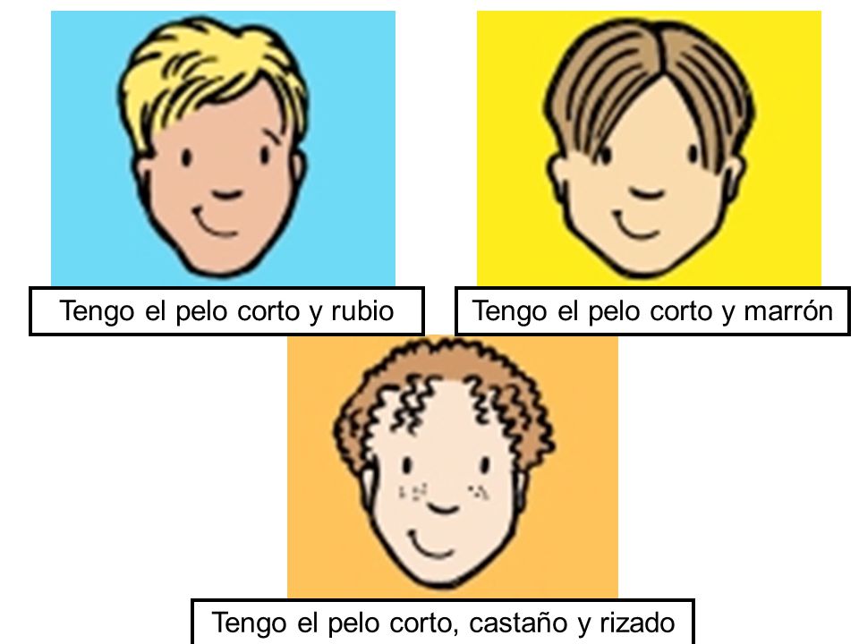 Tengo el pelo corto y rubio Tengo el pelo corto y marrón