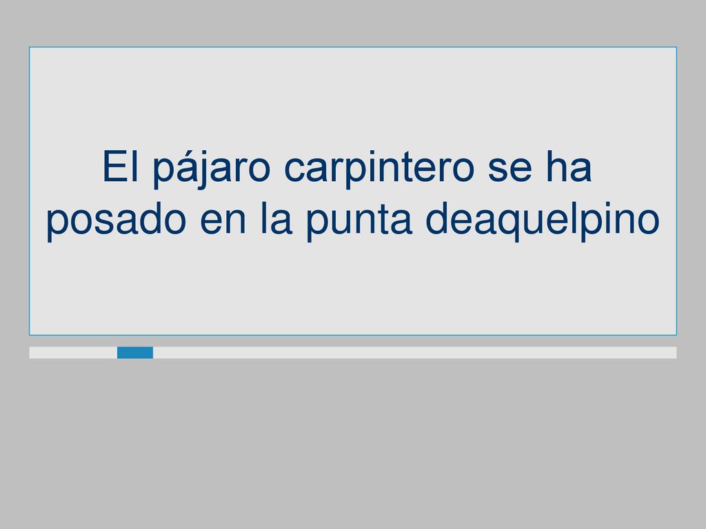El pájaro carpintero se ha posado en la punta deaquelpino