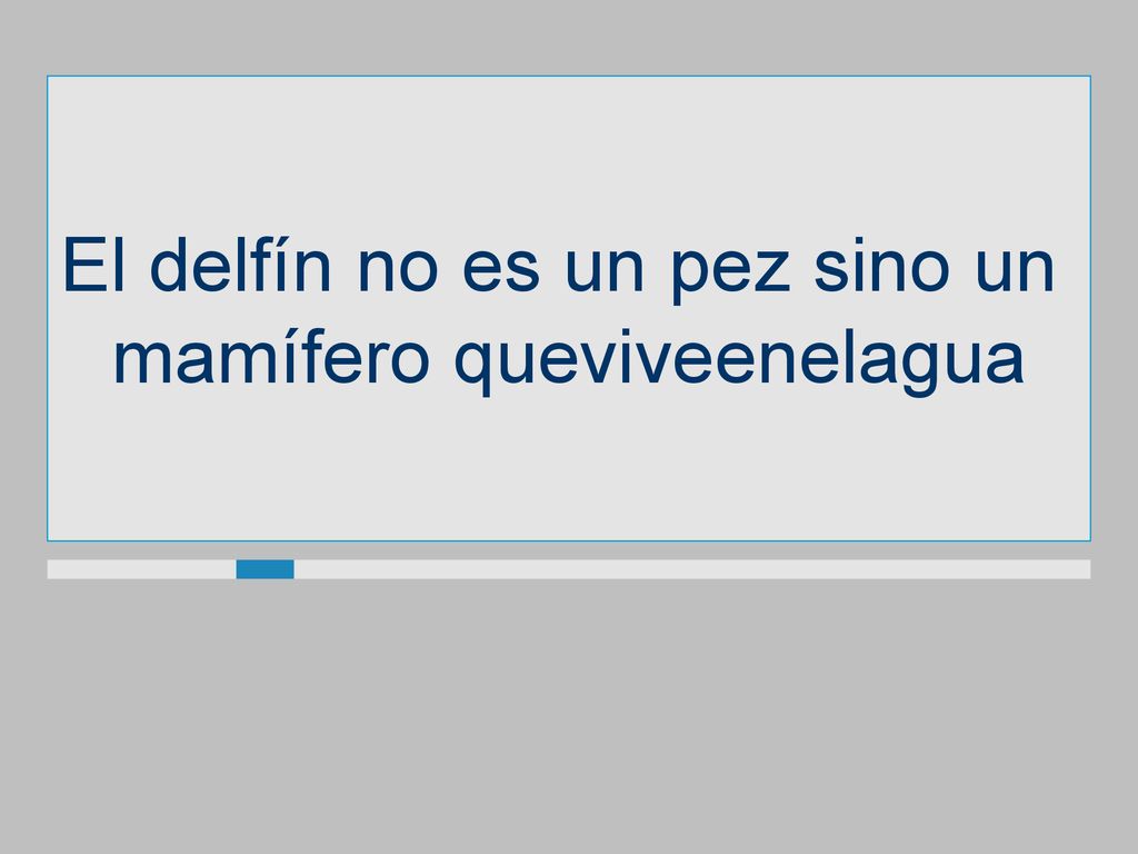 El delfín no es un pez sino un mamífero queviveenelagua