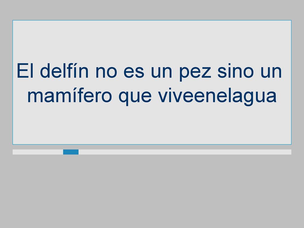 El delfín no es un pez sino un mamífero que viveenelagua