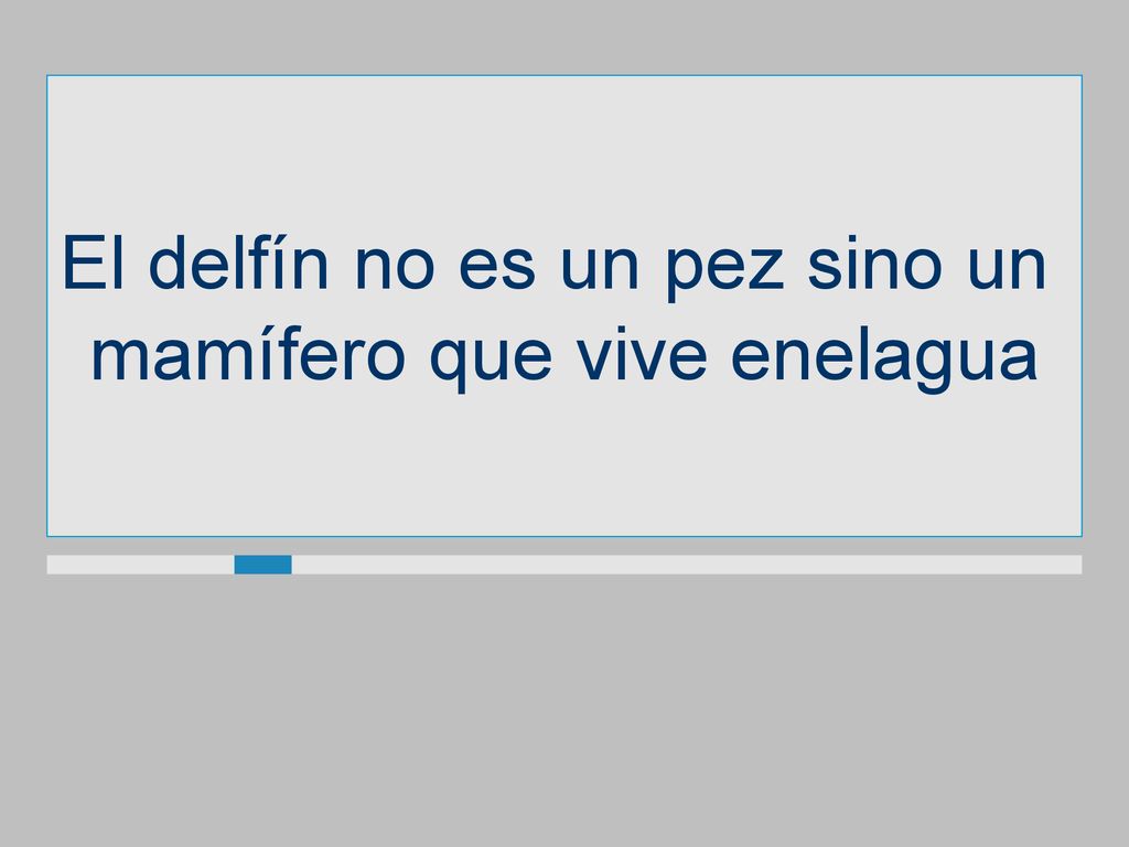El delfín no es un pez sino un mamífero que vive enelagua