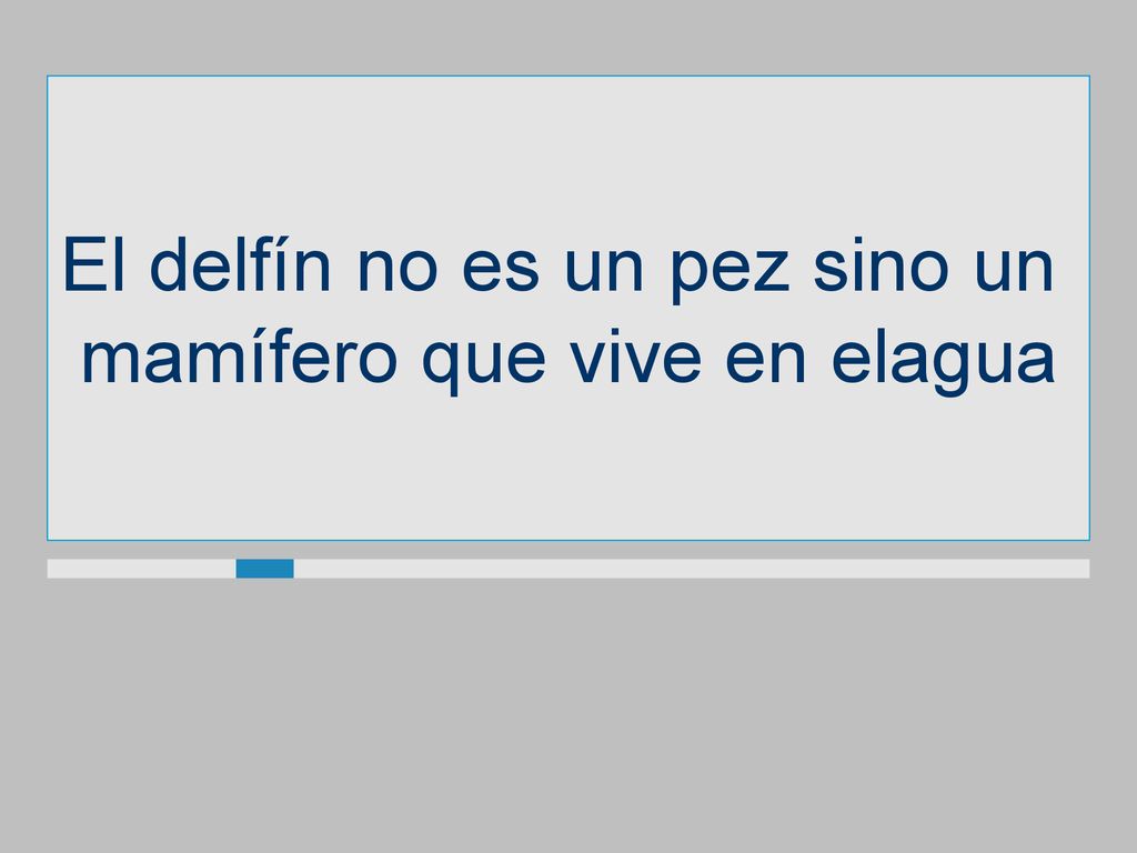El delfín no es un pez sino un mamífero que vive en elagua