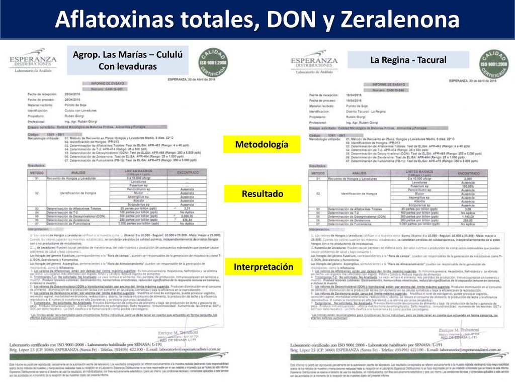 Aflatoxinas totales, DON y Zeralenona Agrop. Las Marías – Cululú