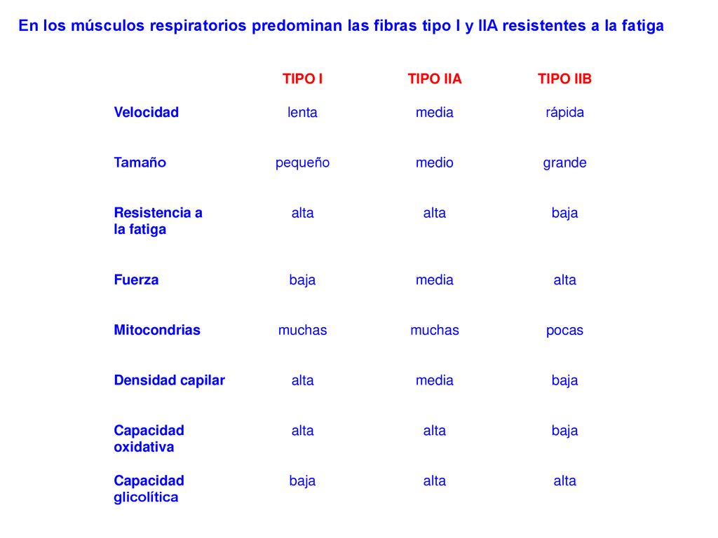 mec-nica-respiratoria-ppt-descargar