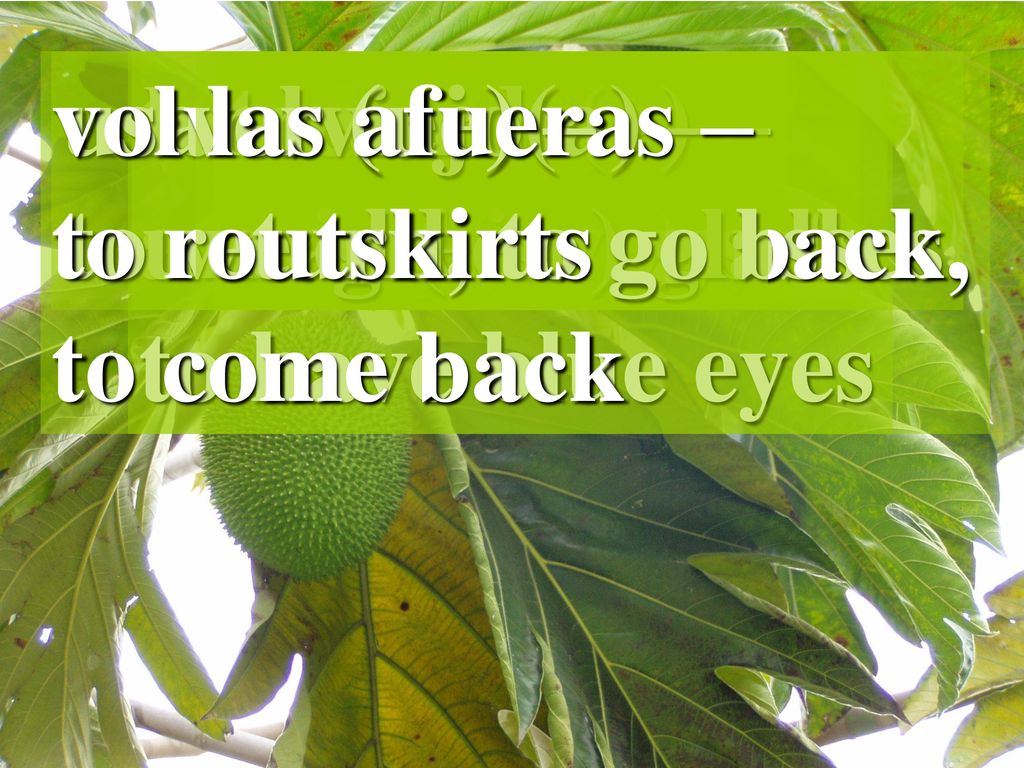 volver (ue) – to return, to go back, to come back. usar lentes – to wear (use) glasses. tener los ojos.