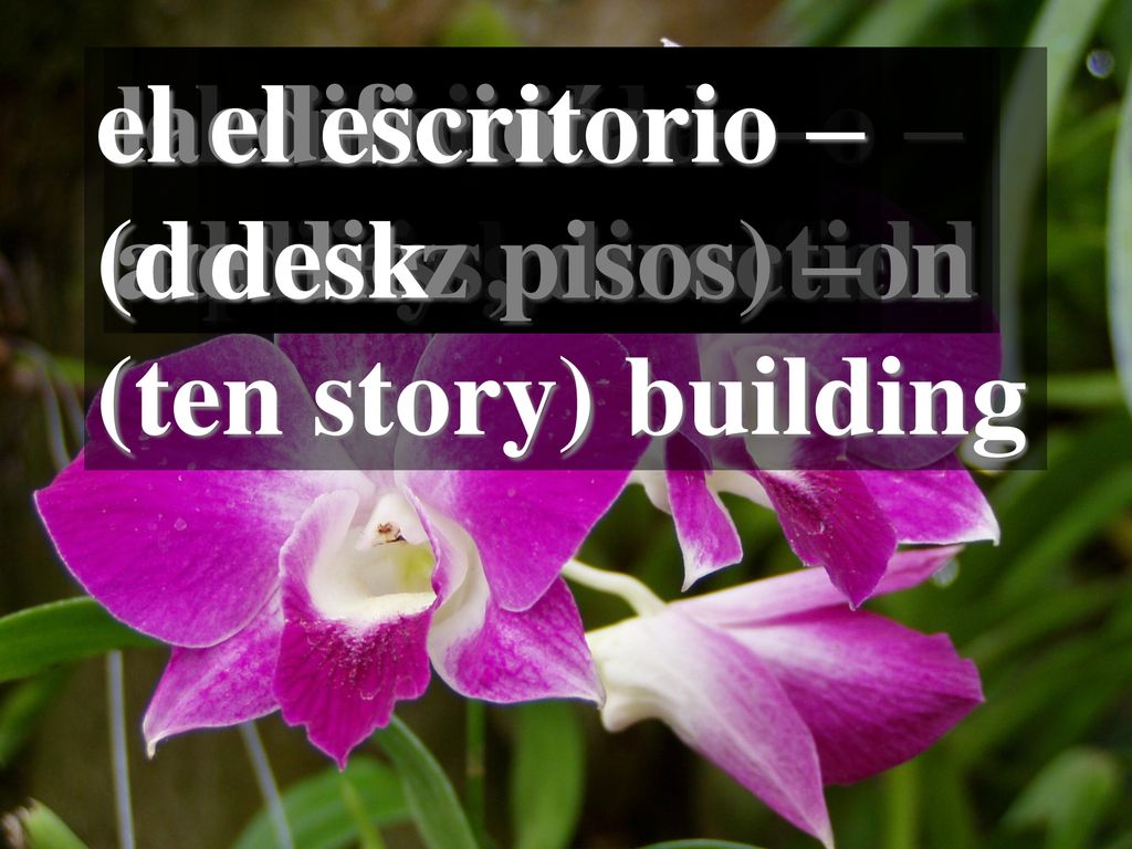 el edificio (de diez pisos) – (ten story) building. la dirección – address, direction. el campo –