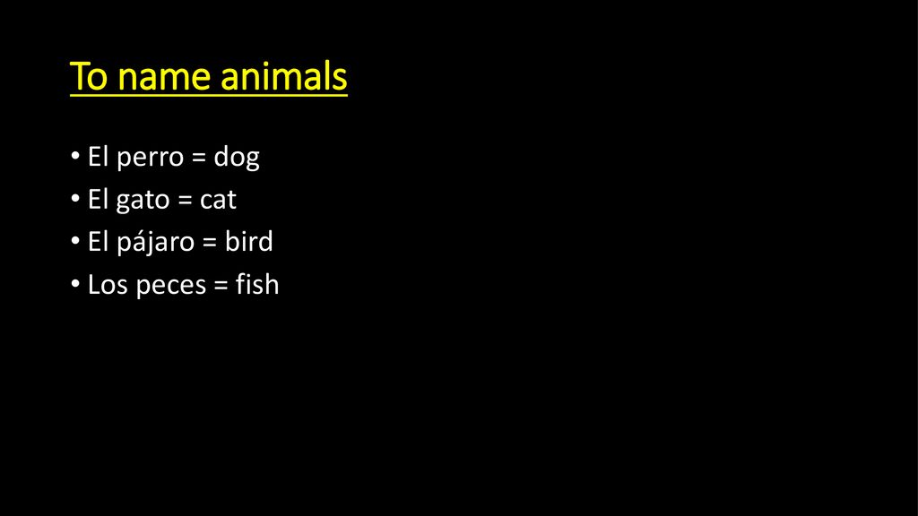 To name animals El perro = dog El gato = cat El pájaro = bird