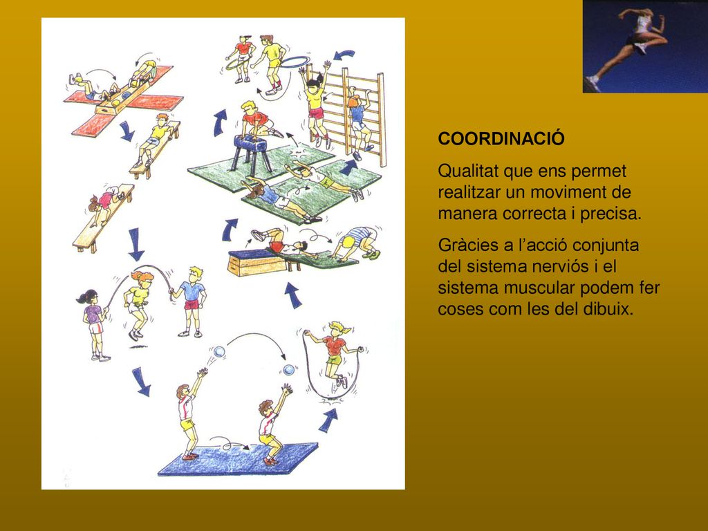 COORDINACIÓ Qualitat que ens permet realitzar un moviment de manera correcta i precisa.