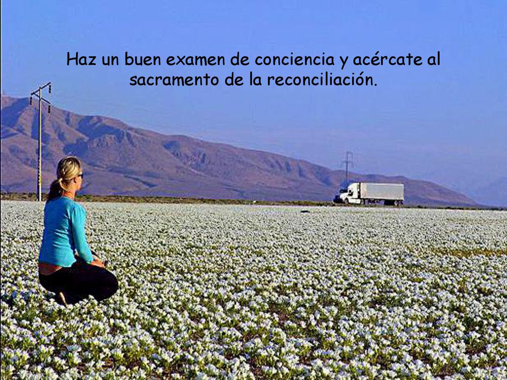 Haz un buen examen de conciencia y acércate al sacramento de la reconciliación.