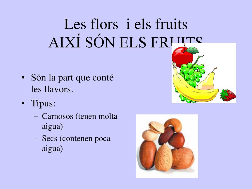 Les flors i els fruits AIXÍ SÓN ELS FRUITS