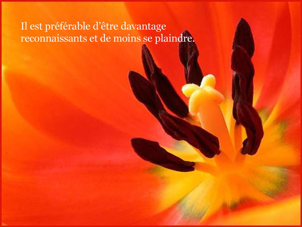 Il est préférable d’être davantage
