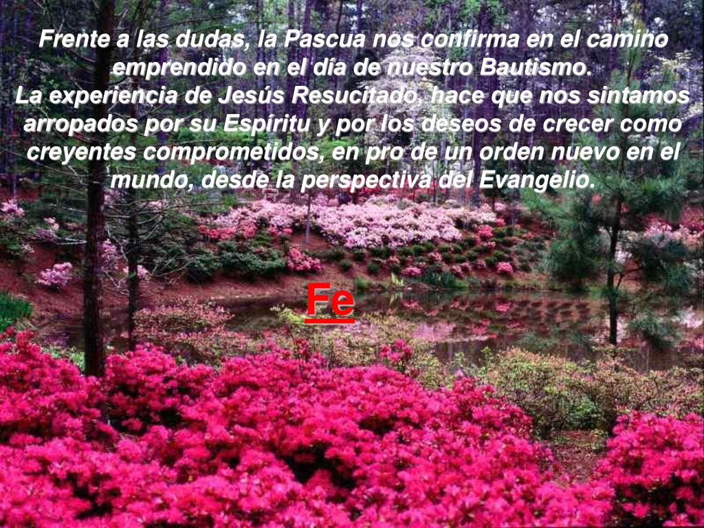 Frente a las dudas, la Pascua nos confirma en el camino emprendido en el día de nuestro Bautismo. La experiencia de Jesús Resucitado, hace que nos sintamos arropados por su Espíritu y por los deseos de crecer como creyentes comprometidos, en pro de un orden nuevo en el mundo, desde la perspectiva del Evangelio.