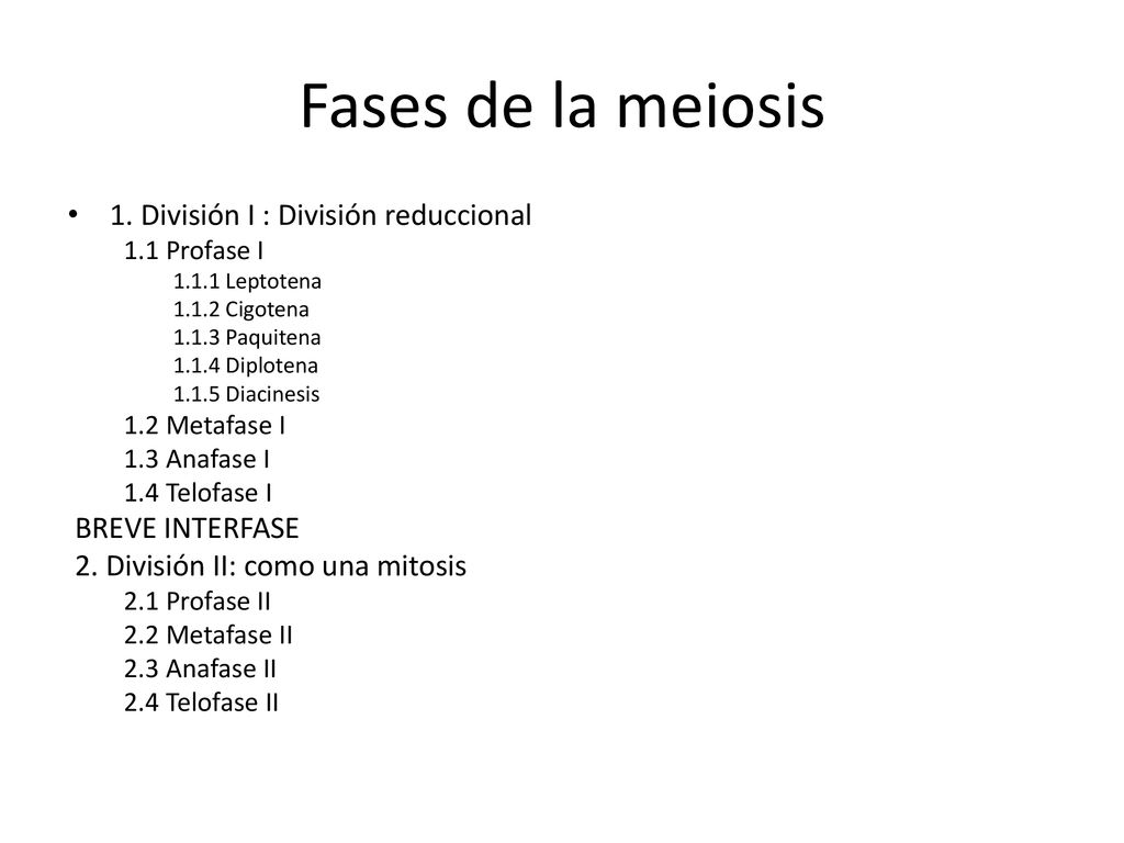 Fases de la meiosis 1. División I : División reduccional