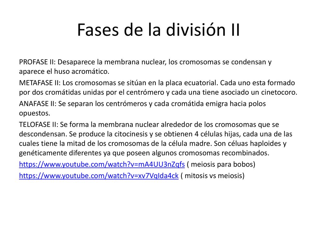 Fases de la división II PROFASE II: Desaparece la membrana nuclear, los cromosomas se condensan y aparece el huso acromático.
