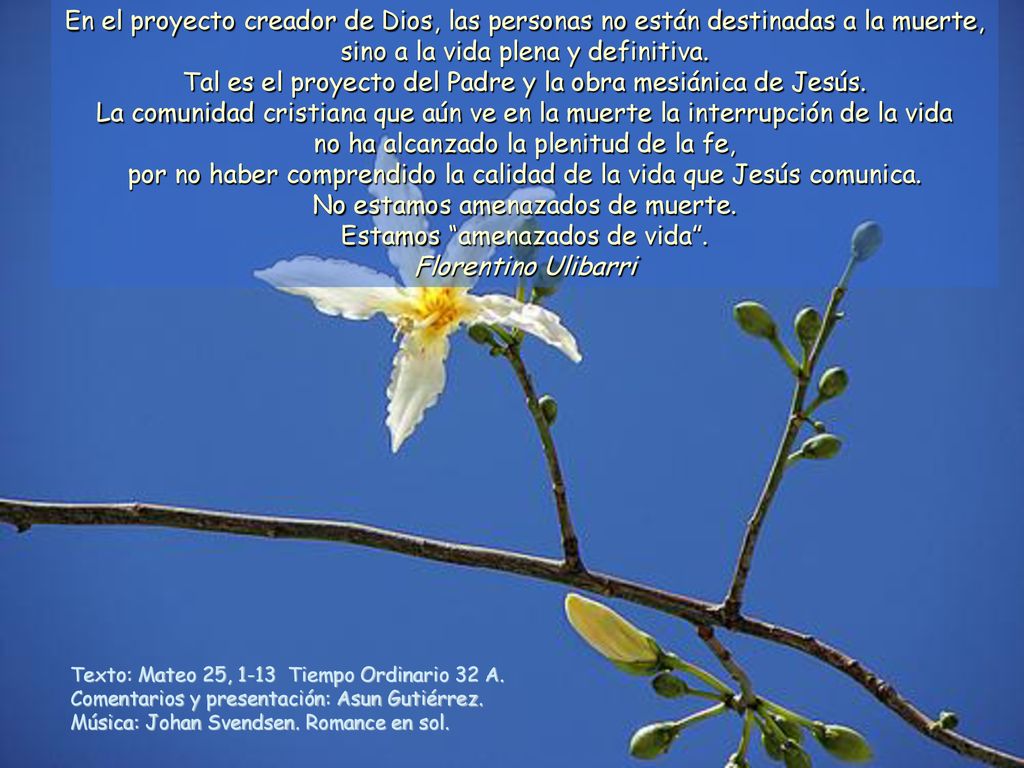 Tal es el proyecto del Padre y la obra mesiánica de Jesús.