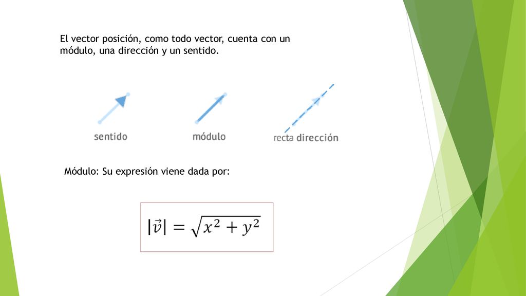 El vector posición, como todo vector, cuenta con un módulo, una dirección y un sentido.