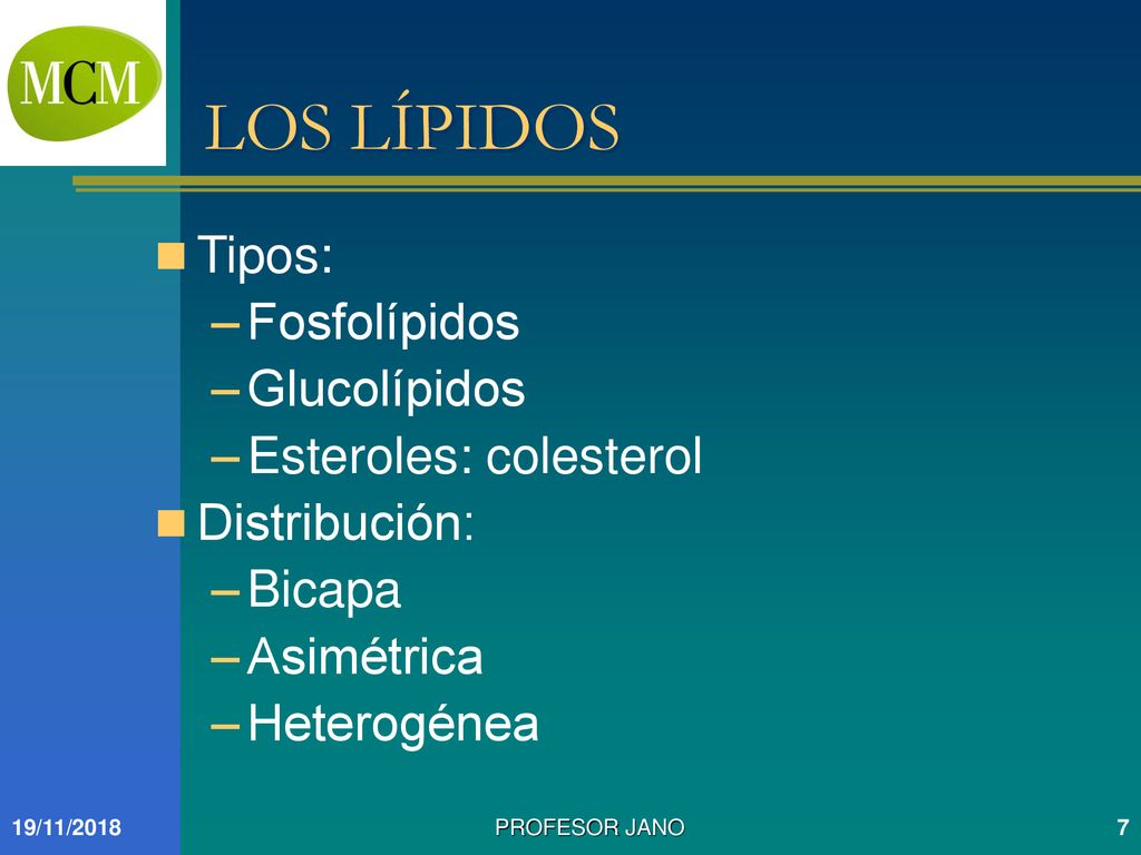 LOS LÍPIDOS Tipos: Fosfolípidos Glucolípidos Esteroles: colesterol