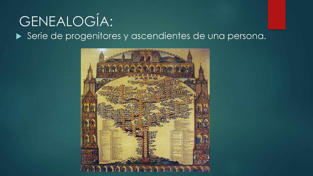 GENEALOGÍA: Serie de progenitores y ascendientes de una persona.