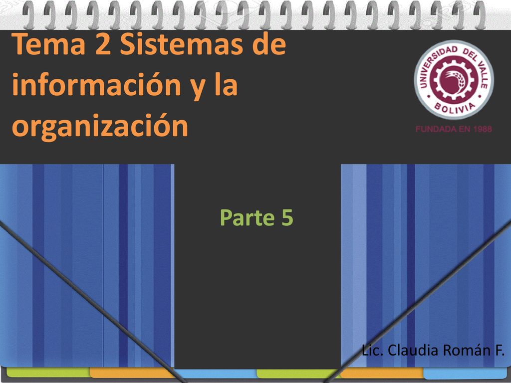 Tema 2 Sistemas de información y la organización
