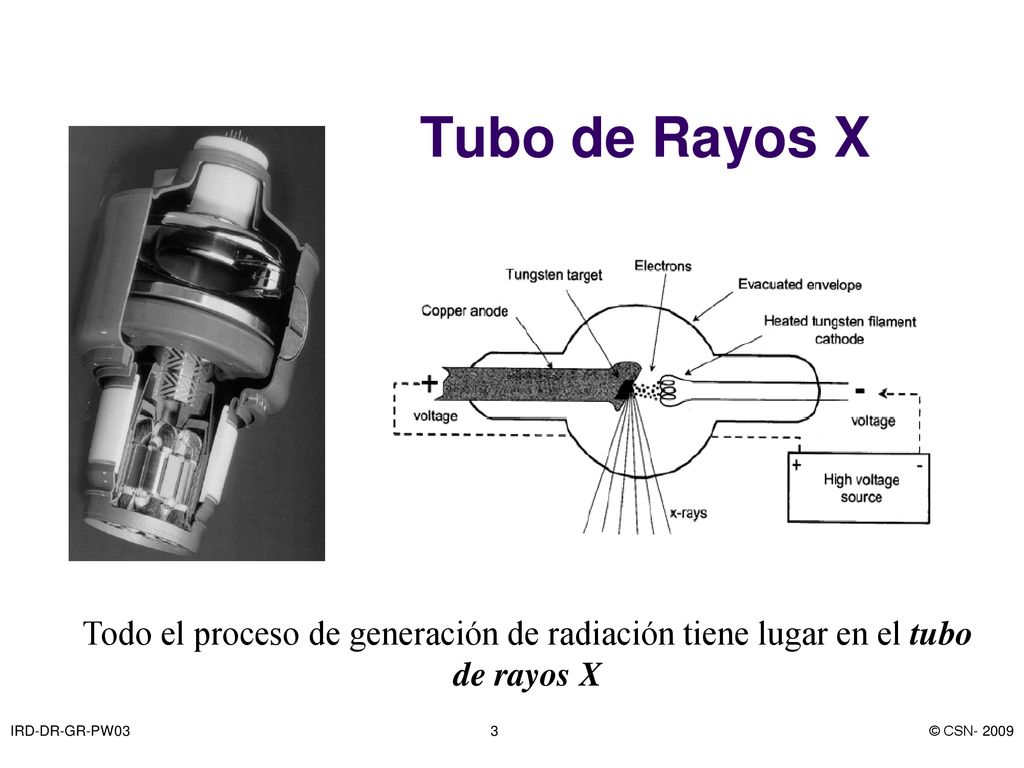 Tubo de Rayos X Todo el proceso de generación de radiación tiene lugar en el tubo de rayos X. IRD-DR-GR-PW03.