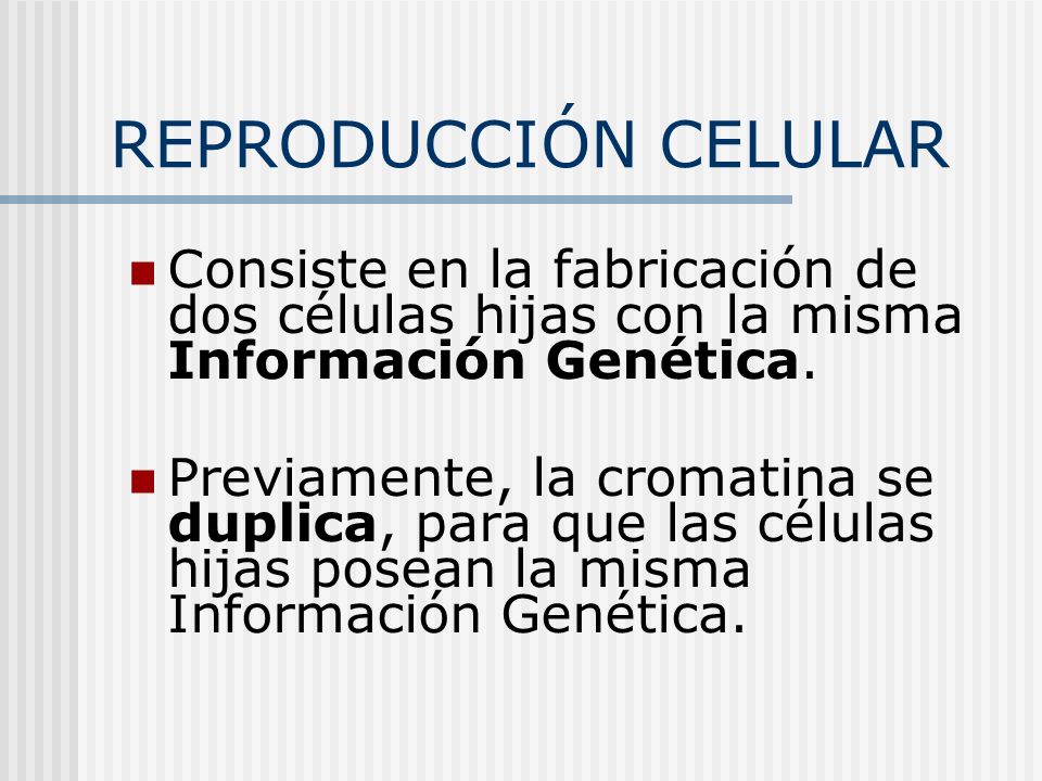 REPRODUCCIÓN CELULAR Consiste en la fabricación de dos células hijas con la misma Información Genética.