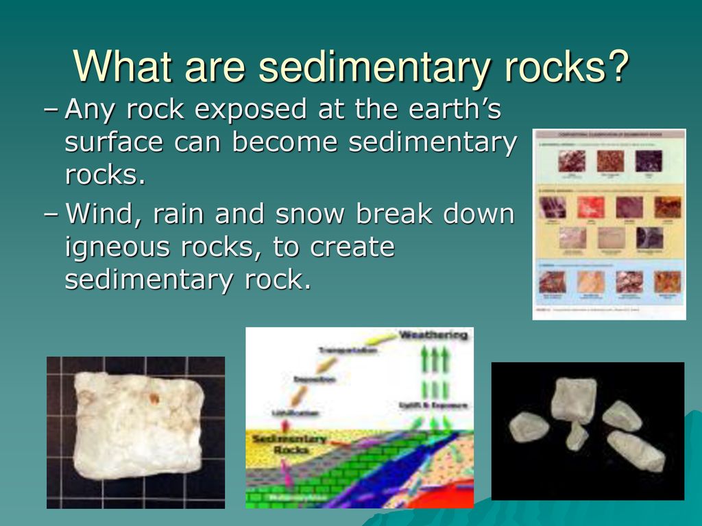 Class 181 & Mr. Vives Study ROCKS at Montauk I.S ppt descargar