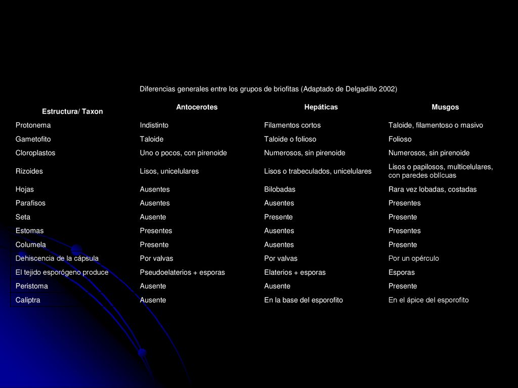 Diferencias generales entre los grupos de briofitas (Adaptado de Delgadillo 2002)