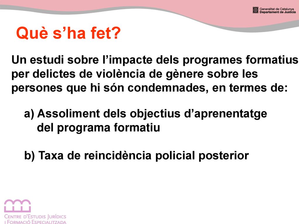 Què s’ha fet Un estudi sobre l’impacte dels programes formatius
