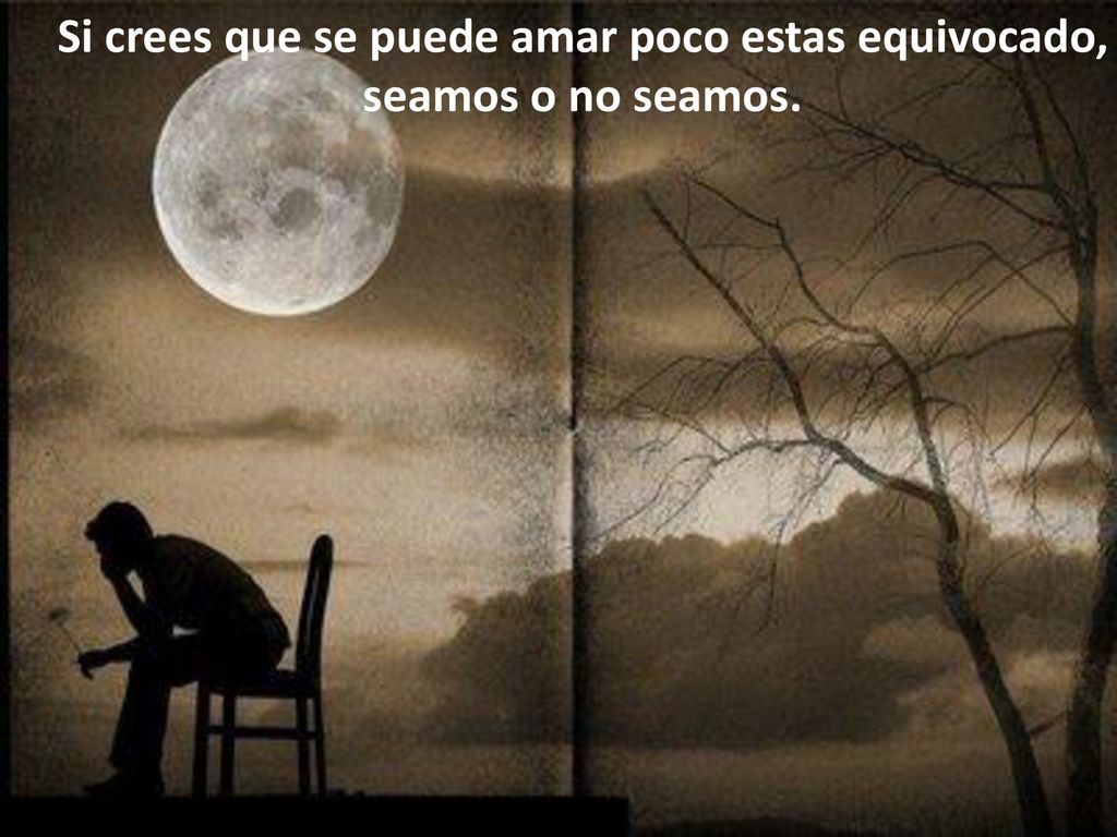 Si crees que se puede amar poco estas equivocado, seamos o no seamos.