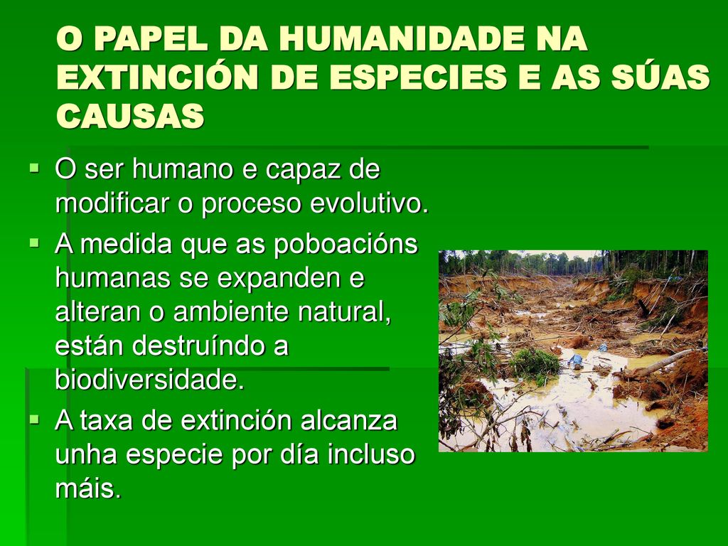 O PAPEL DA HUMANIDADE NA EXTINCIÓN DE ESPECIES E AS SÚAS CAUSAS
