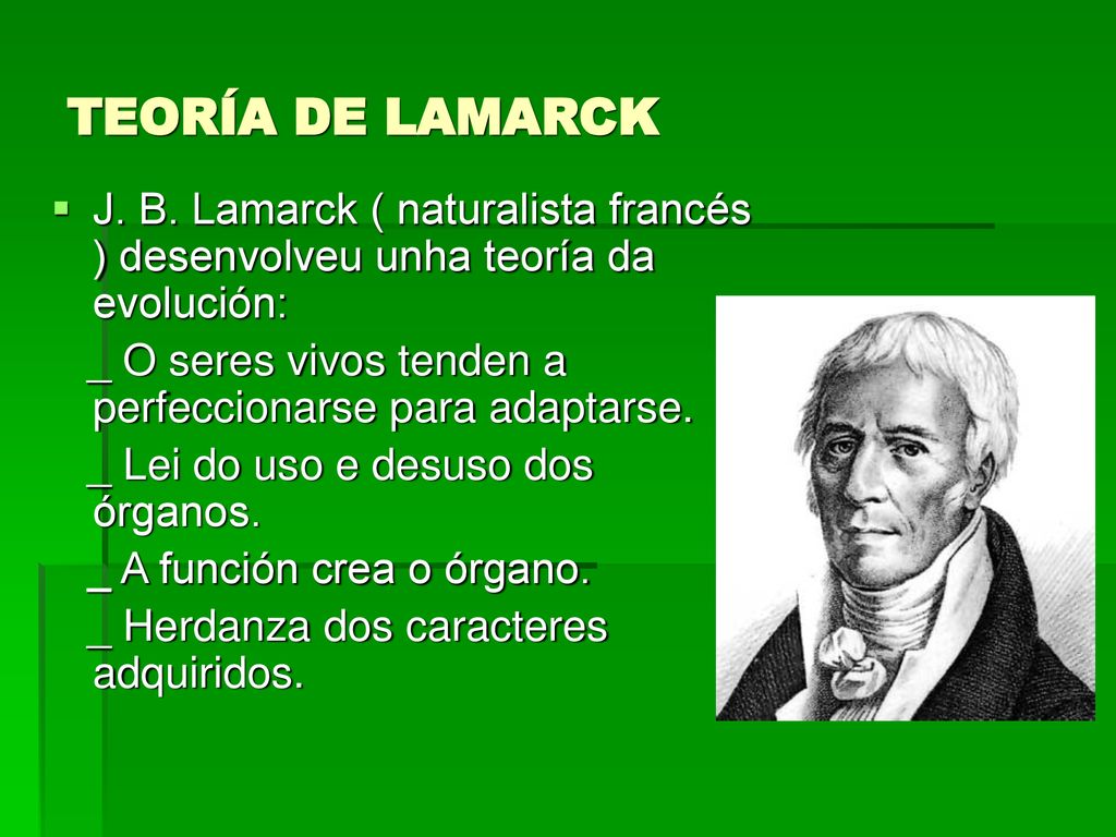 TEORÍA DE LAMARCK J. B. Lamarck ( naturalista francés ) desenvolveu unha teoría da evolución: