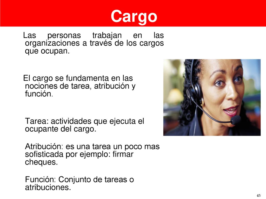 El cargo se fundamenta en las nociones de tarea, atribución y función.