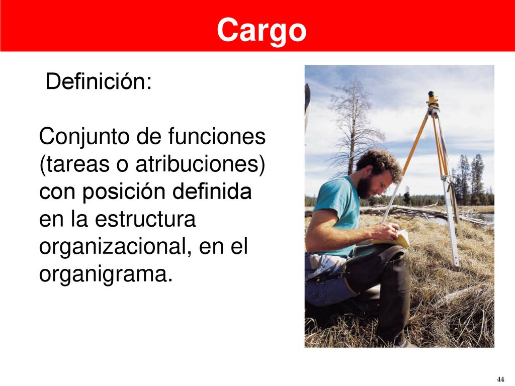 Cargo Definición: Conjunto de funciones (tareas o atribuciones) con posición definida en la estructura organizacional, en el organigrama.