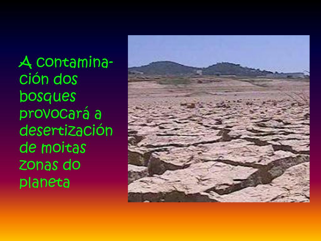 A contamina-ción dos bosques provocará a desertización de moitas zonas do planeta