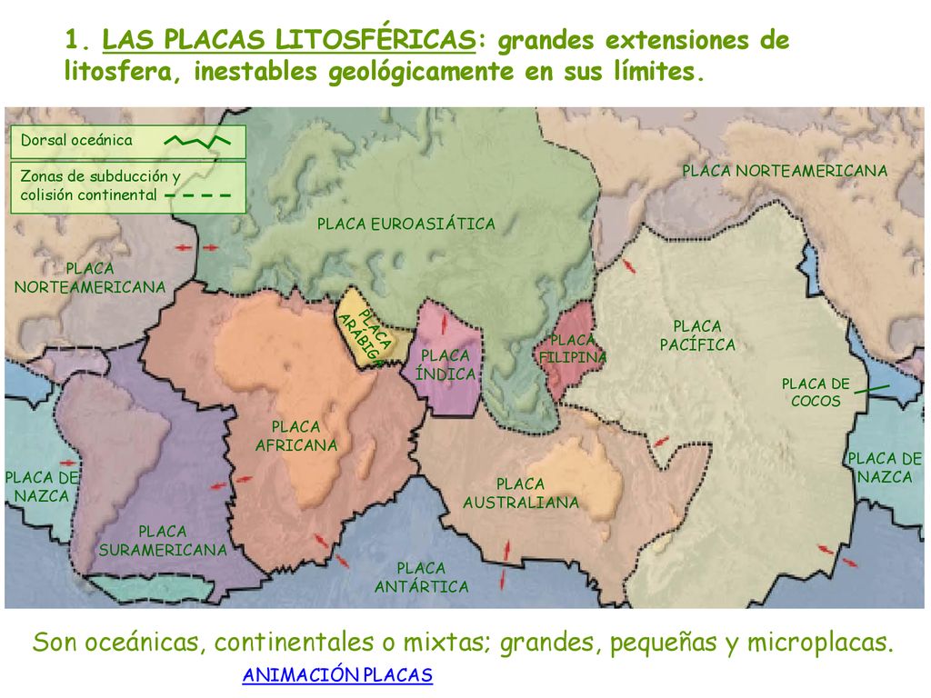 1. LAS PLACAS LITOSFÉRICAS: grandes extensiones de litosfera, inestables geológicamente en sus límites.